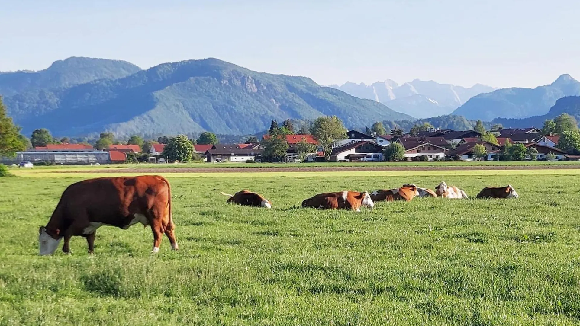 Pletschacher Franz - Maschtlhof - Grassau